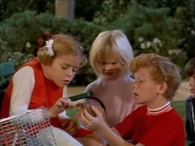 Still from Goodbye Harold