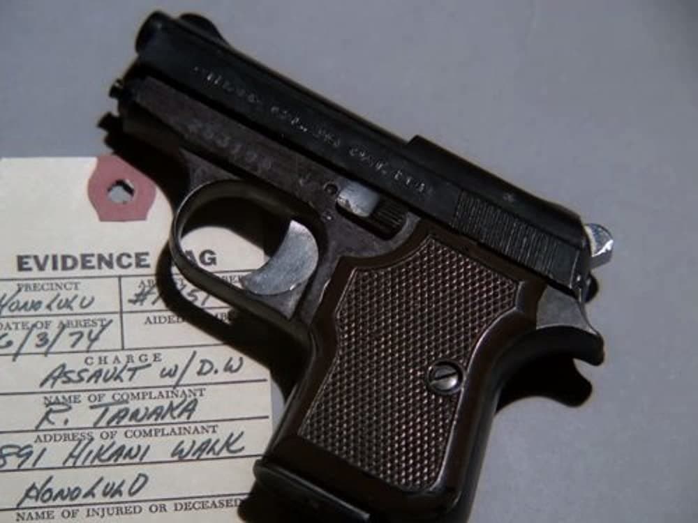 Still from Diary Of A Gun
