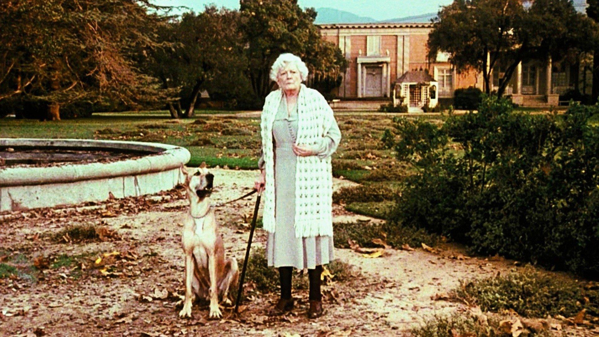 Still from The Family Tree