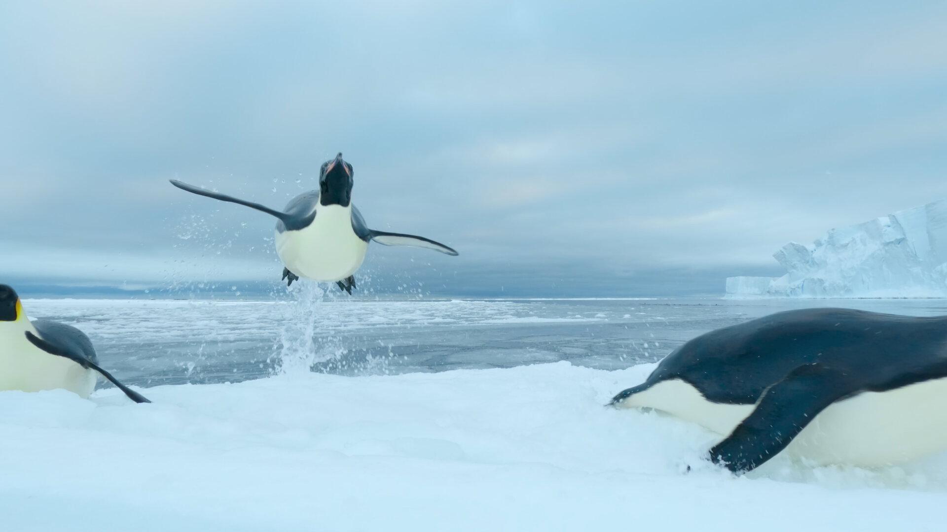 Still from Southern Ocean