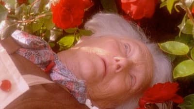 Still from Deadheads
