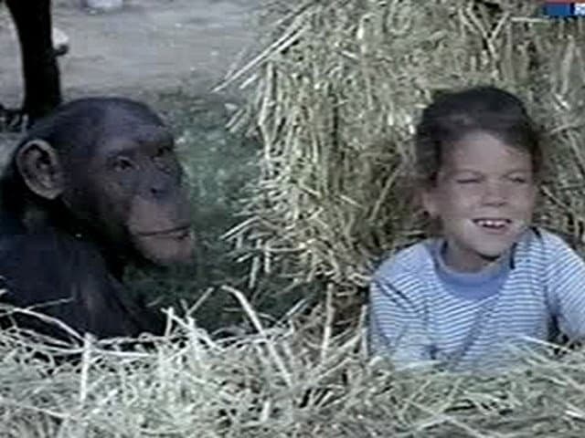 Still from A Family for Jenny