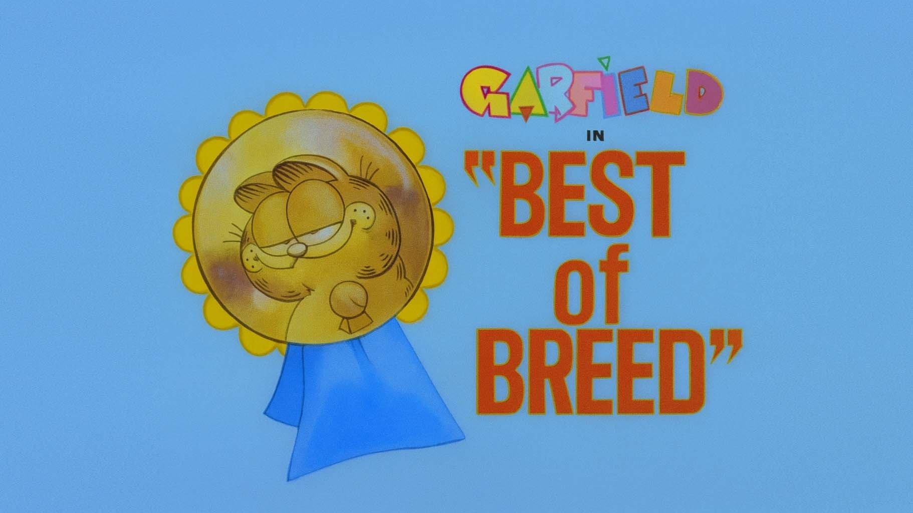 Still from Best of Breed