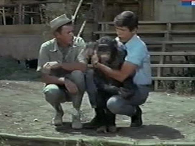 Still from The Elephant Raid (Part 1)
