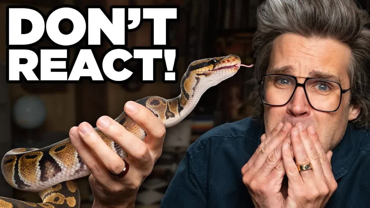 Still from Try Not To Make A Sound (Challenge)