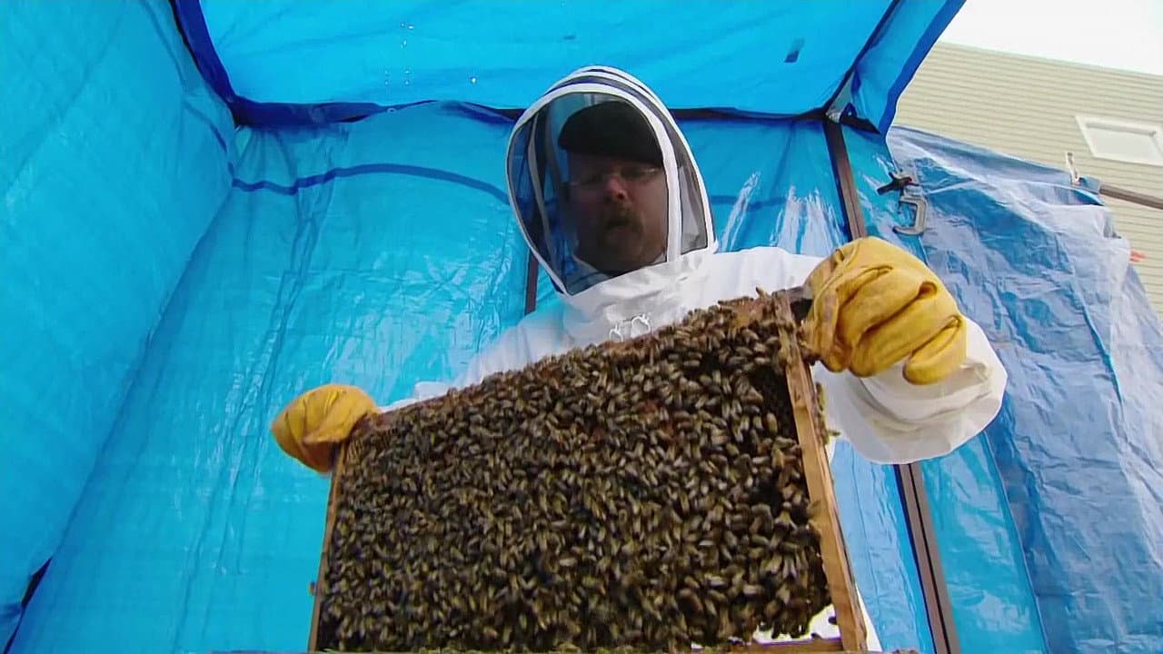 Still from Bug Special