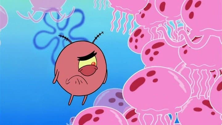 Still from Plankton Pays