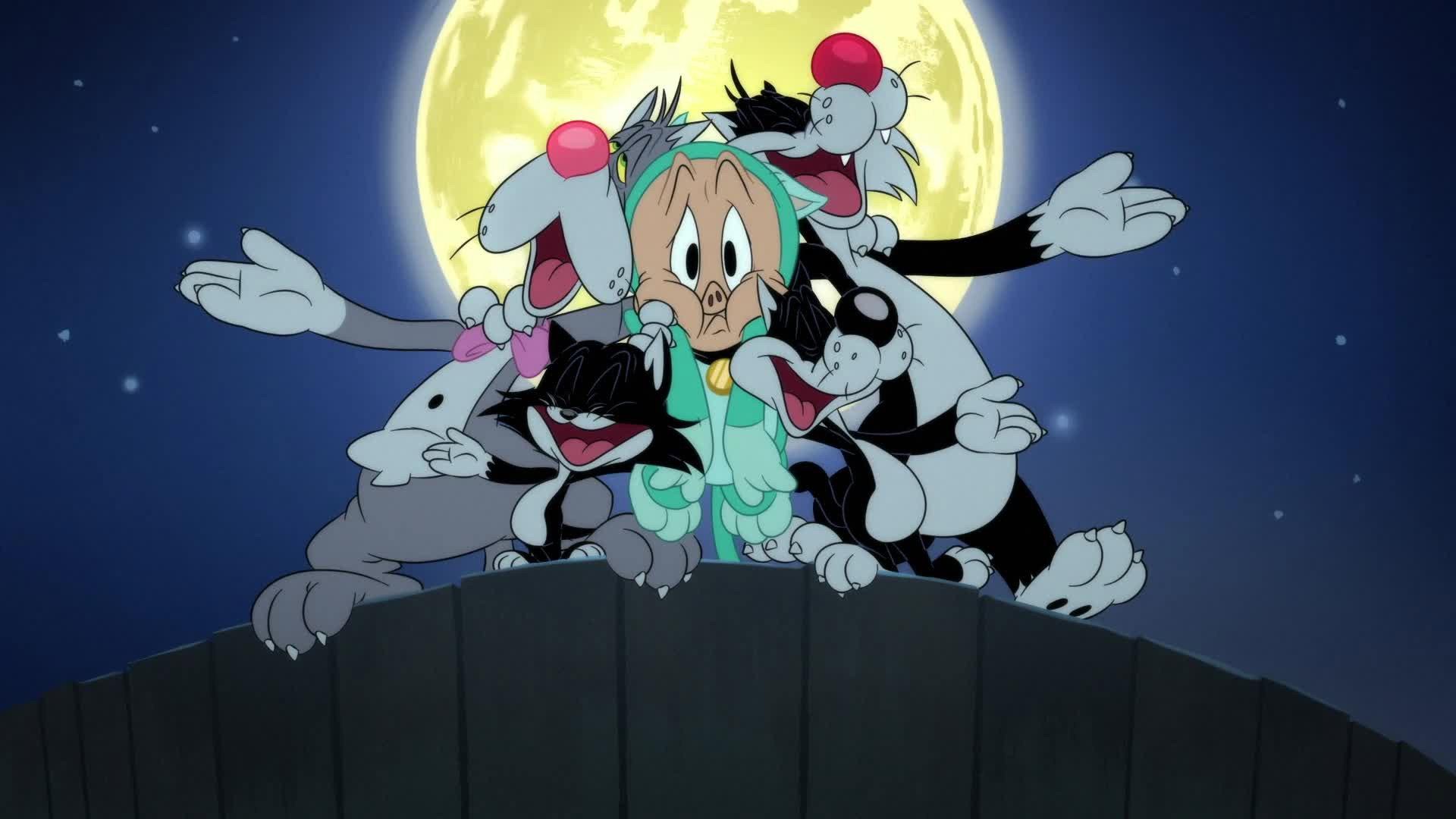 Still from Kitty Krashers