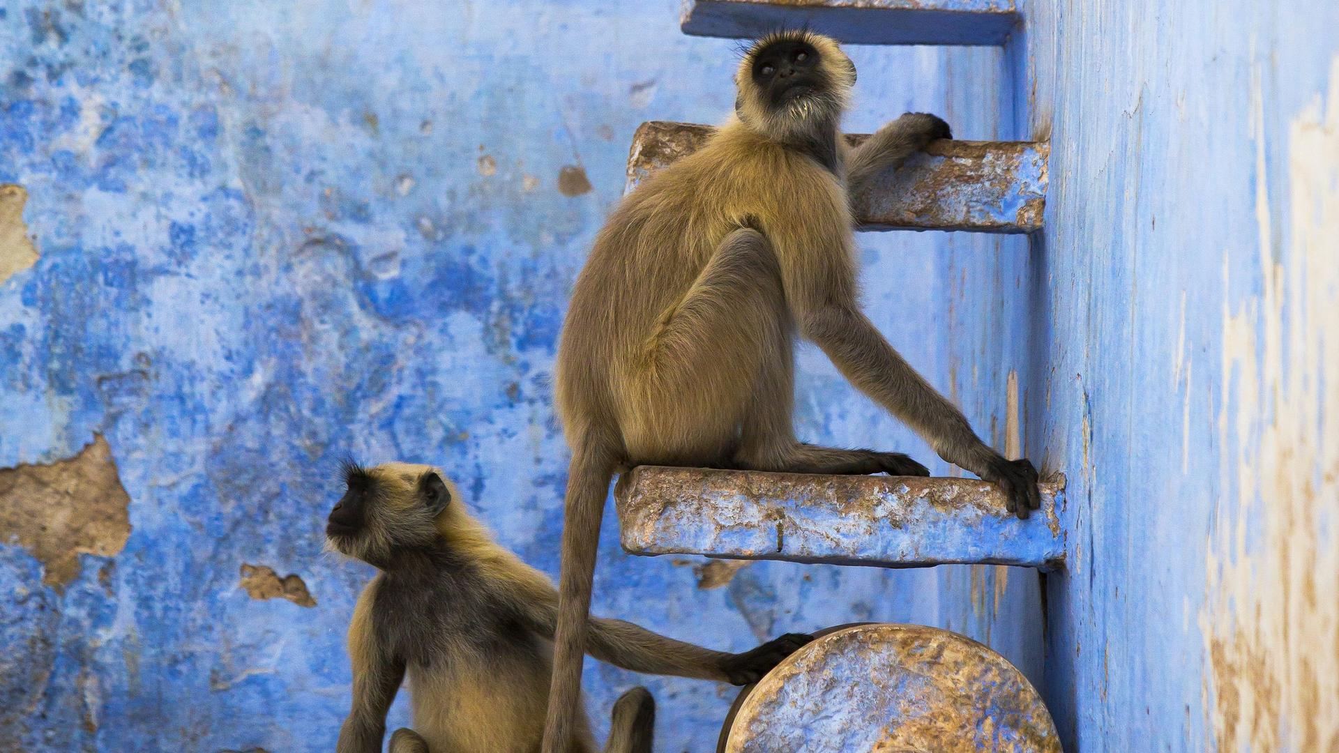 Still from Cities