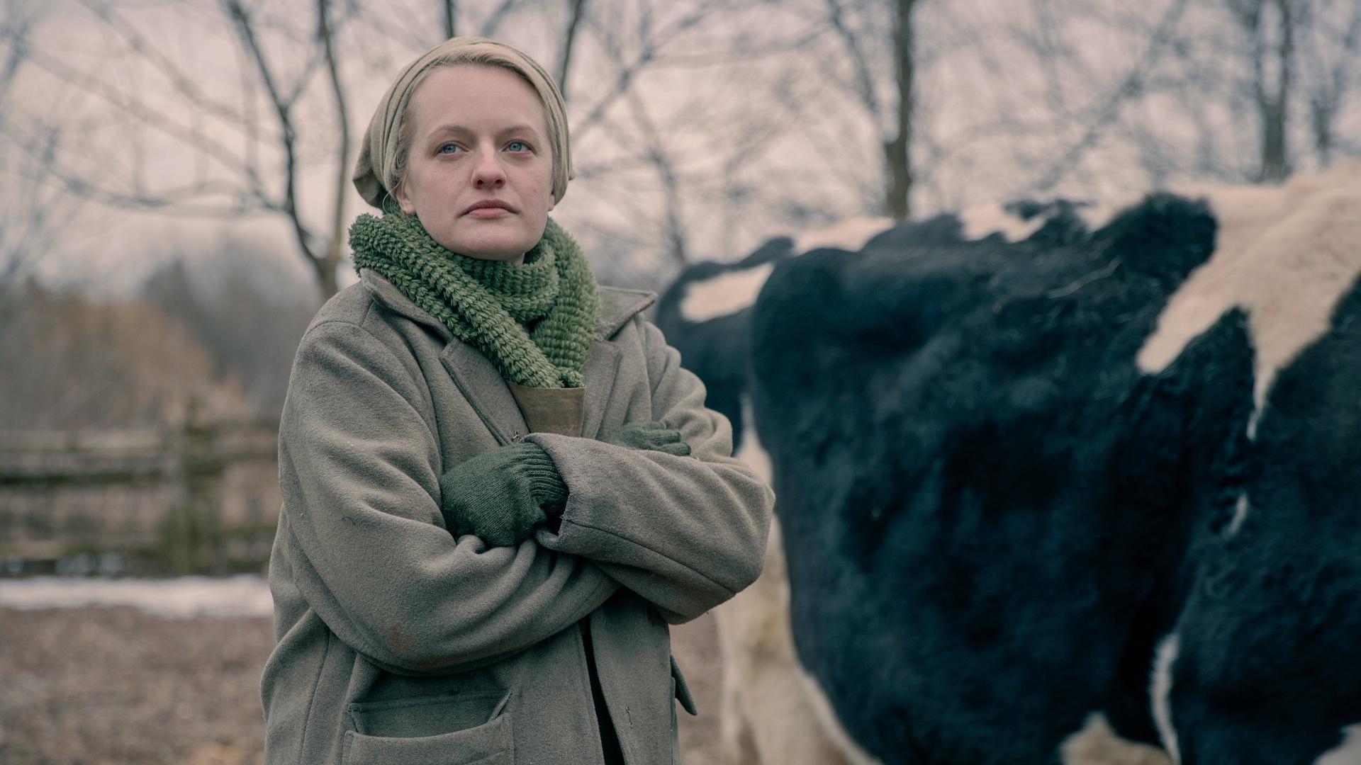 Still from Pigs