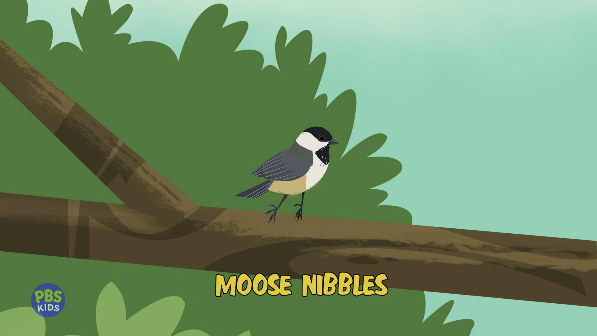 Still from Moose Nibbles
