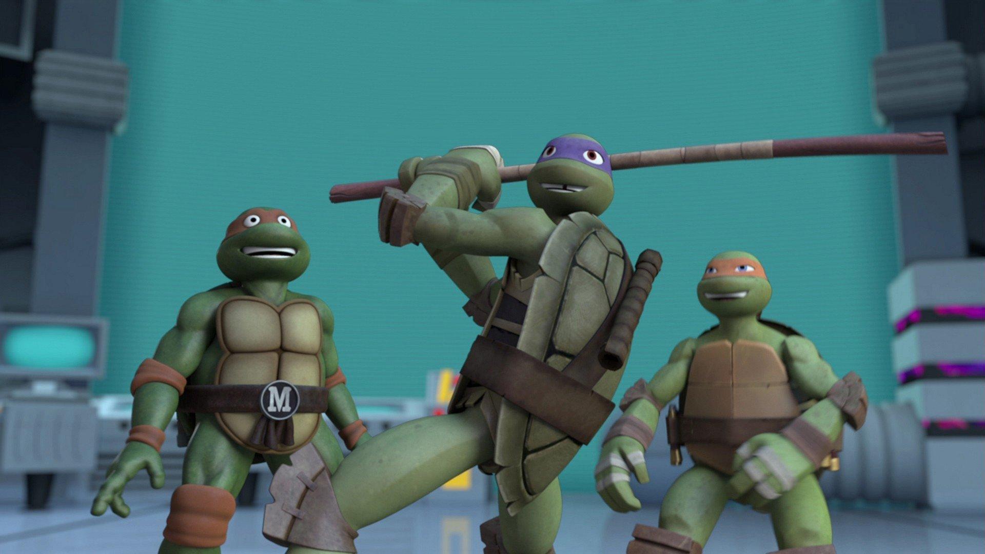Still from Trans-Dimensional Turtles