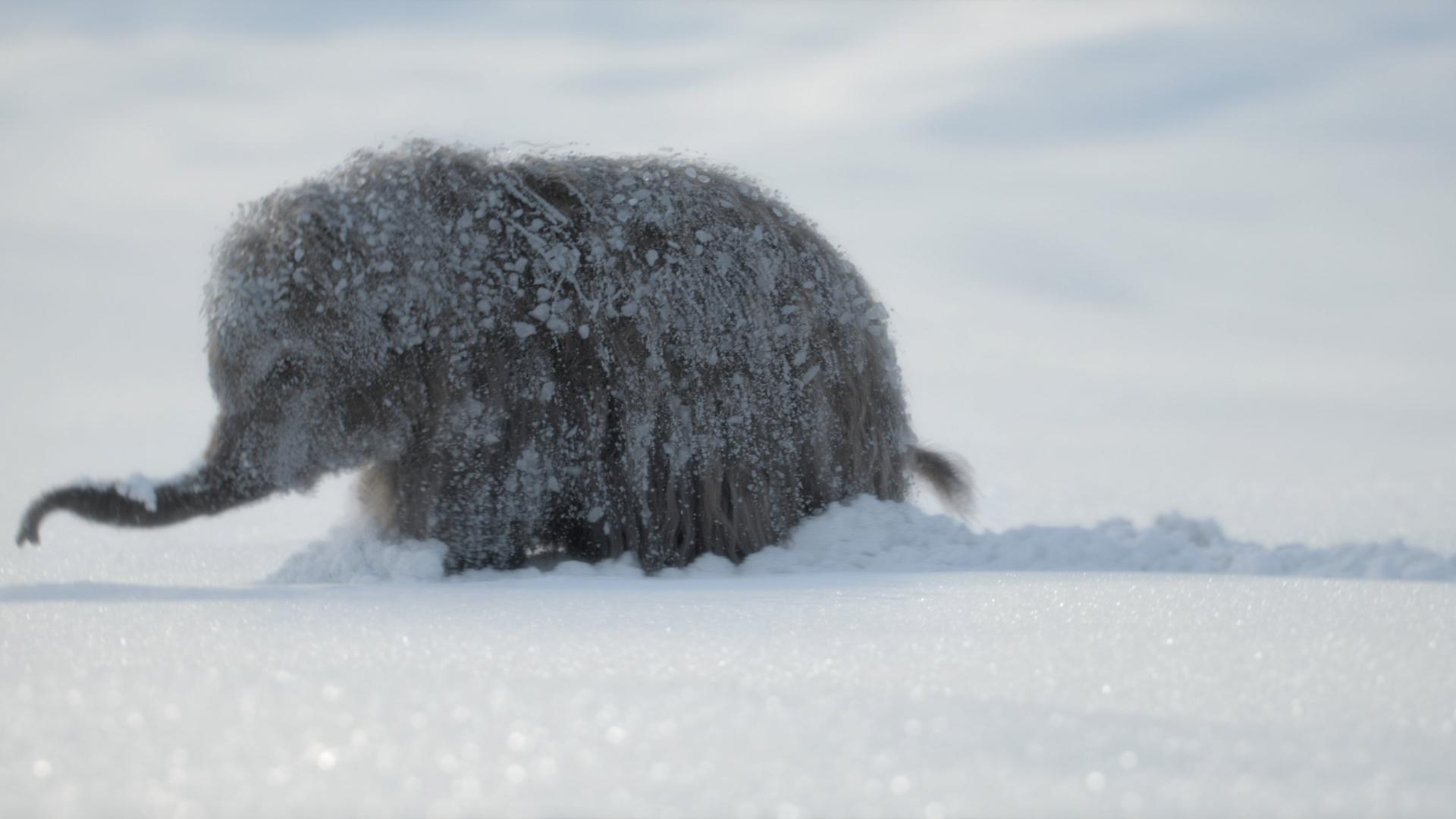 Still from The Big Freeze