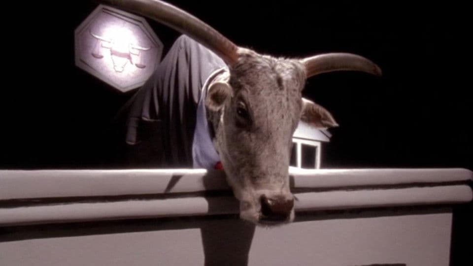 Still from Cattle Court