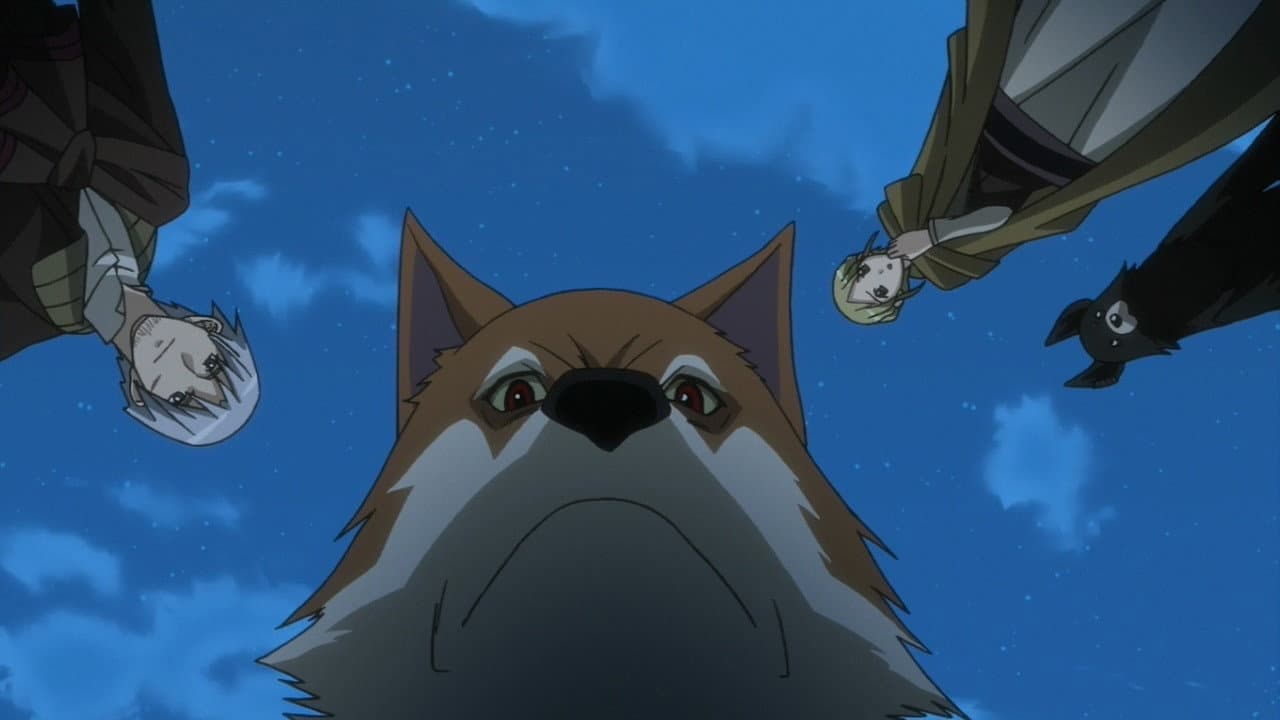 Still from Wolf and a New Beginning
