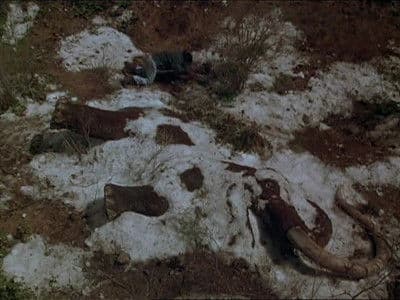 Still from Lovers and Madmen