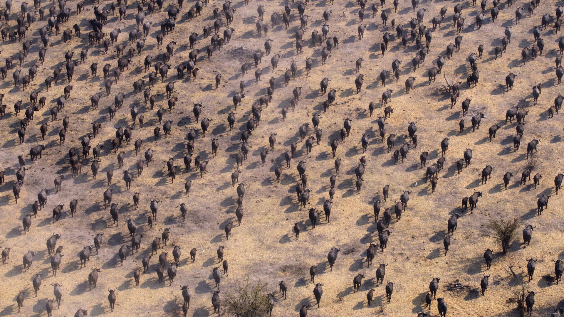 Still from Chapter 1: World on the Move
