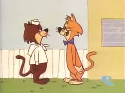Still from Crew Cat