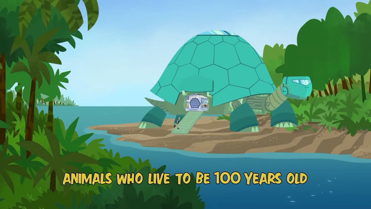 Still from Animals Who Live to Be 100 Years Old