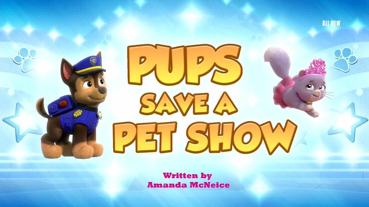 Still from Pups Save a Pet Show
