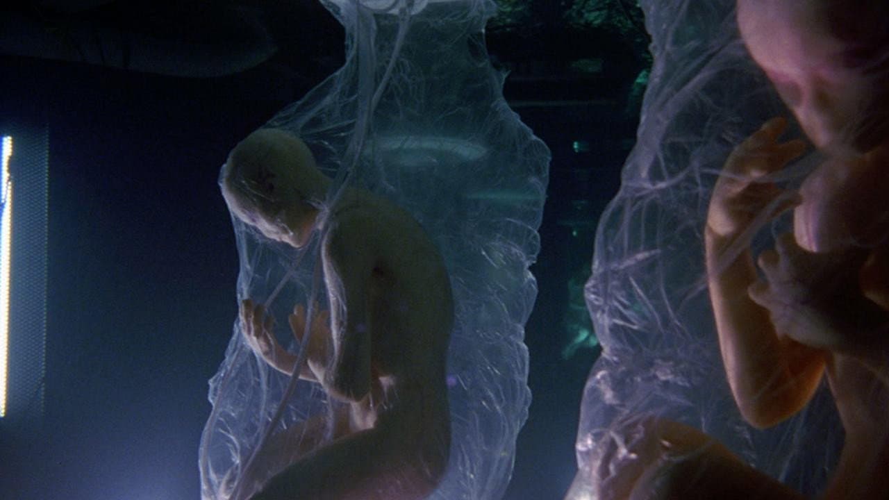Still from The Reptilian Agenda