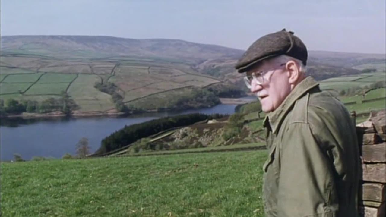 Still from Bicycle Bonanza