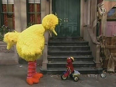 Still from Big Bird Breaks Elmo's Tricycle