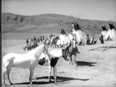 Still from Stolen Horses