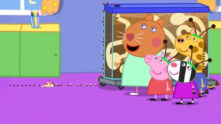 Still from Dr Hamster’s Ant Farm