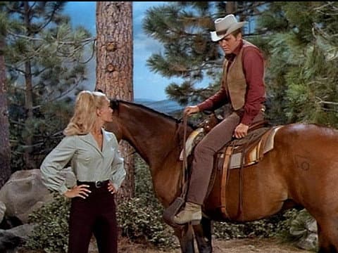 Still from The Stallion