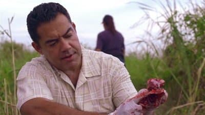 Still from Swamp Thing