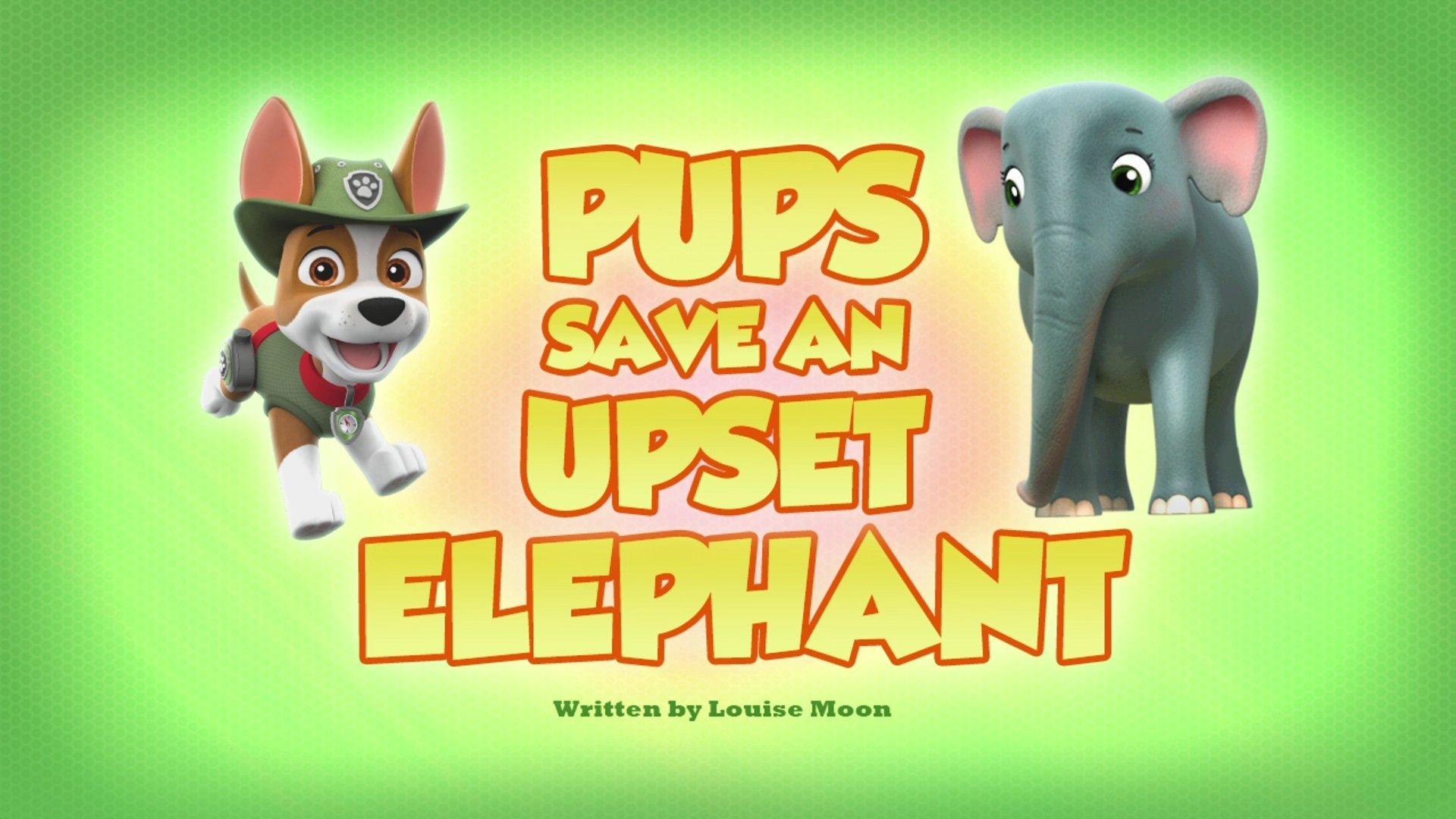 Still from Pups Save an Upset Elephant