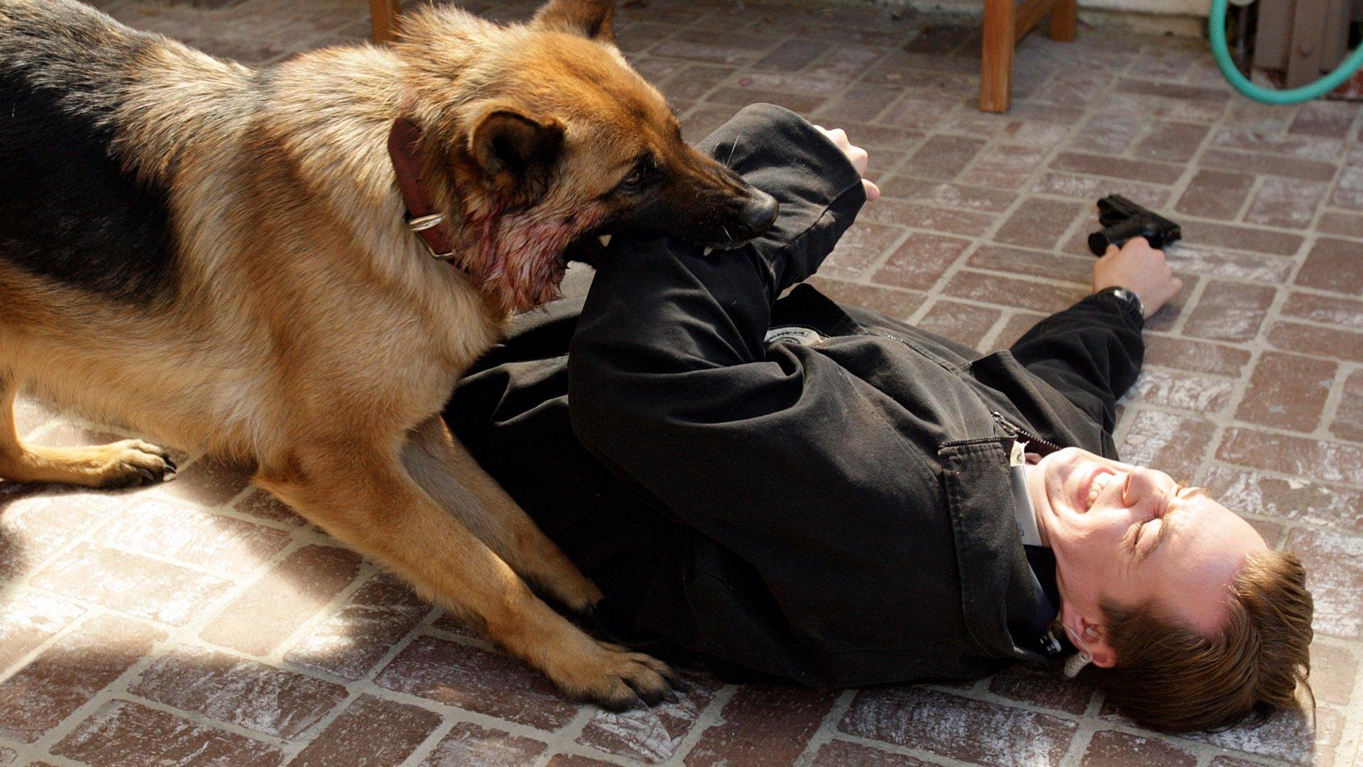 Still from Dog Tags