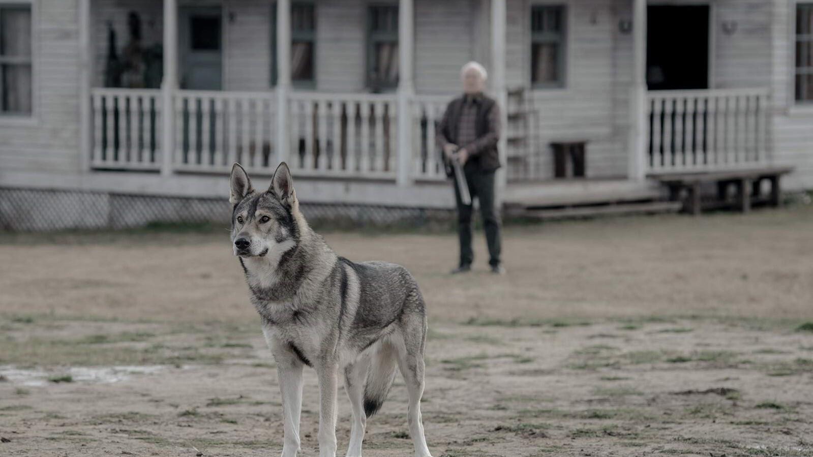 Still from In Quo Ego Vado Vos