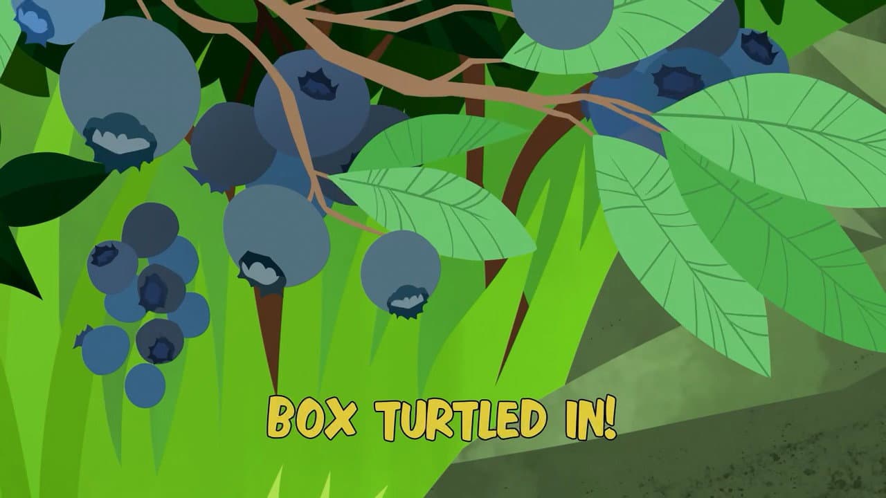Still from Box Turtled In!