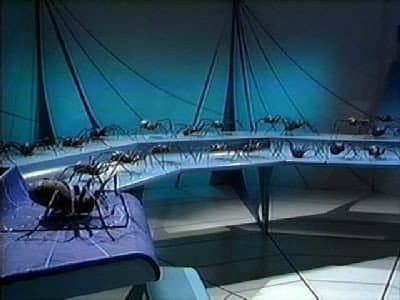 Still from Planet of the Spiders (3)