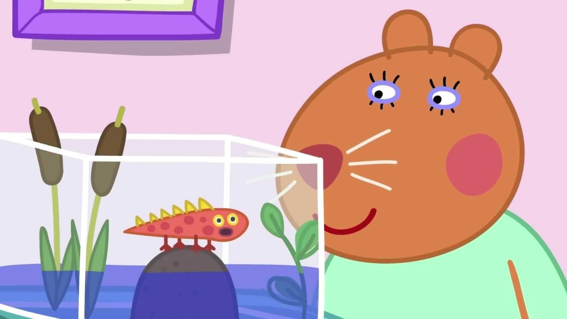Still from A Day with Doctor Hamster