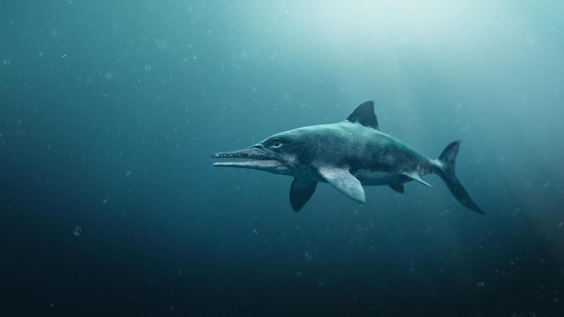 Still from Attenborough and the Sea Dragon