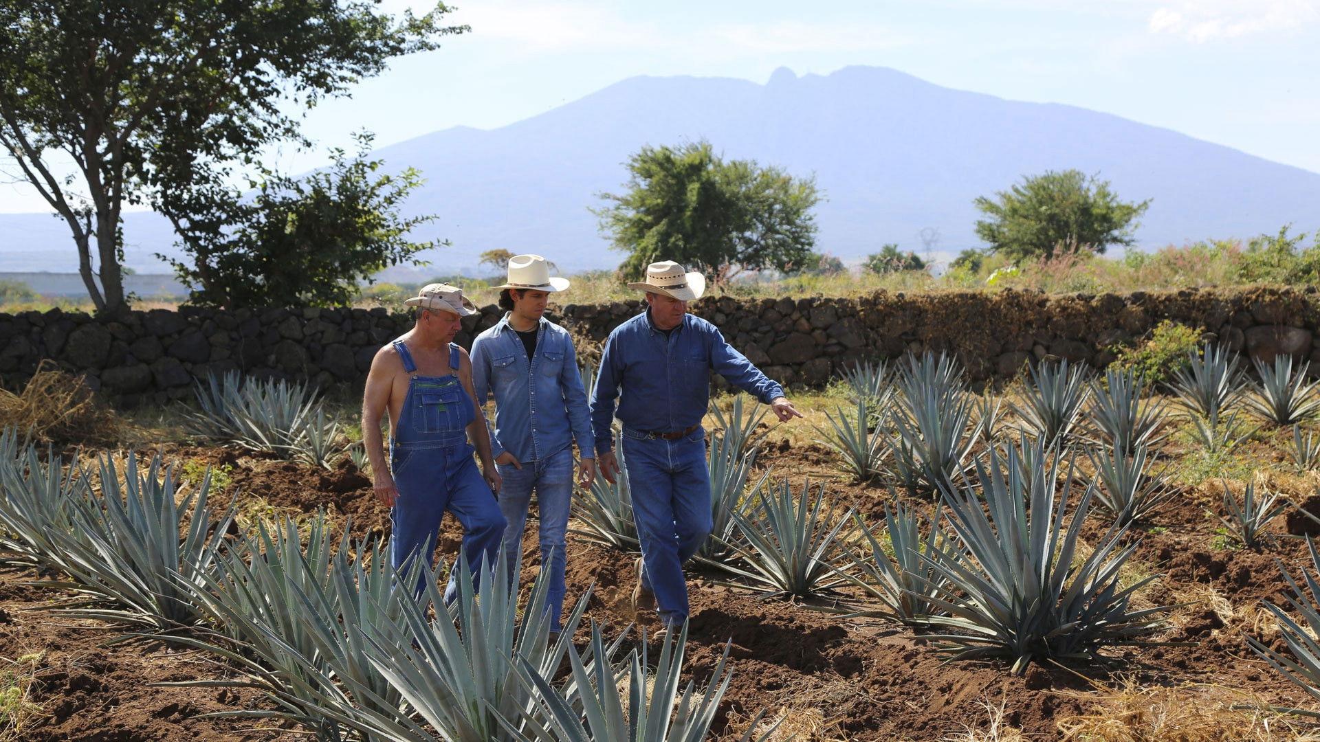 Still from Moonshine of Mexico