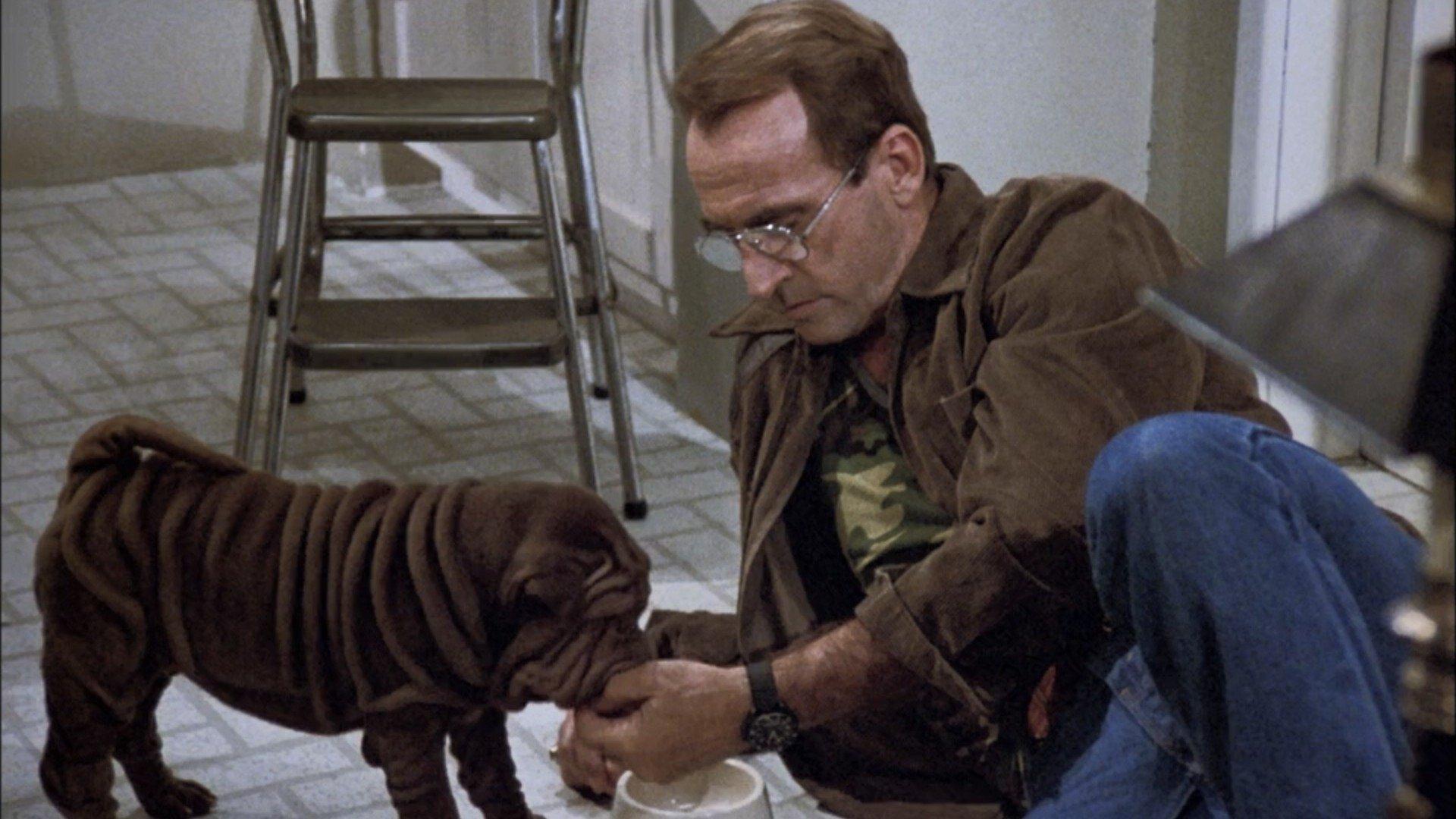 Still from Somewhere Over the Rambo