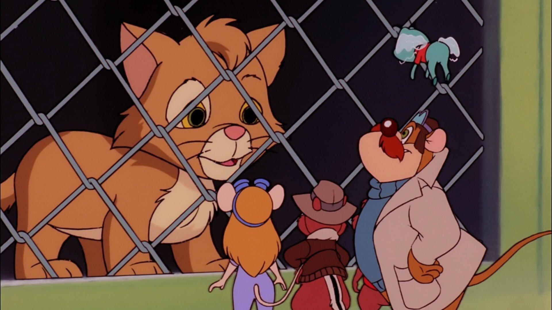 Still from Catteries Not Included