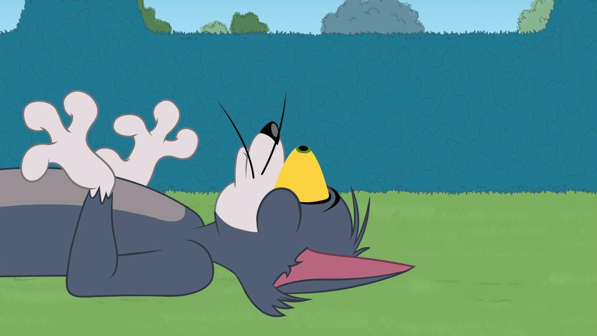 Still from Dandy Do-Gooders