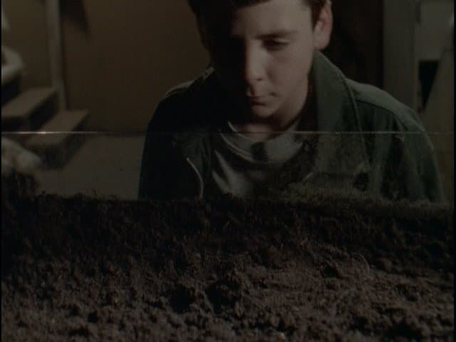 Still from Go Eat Worms