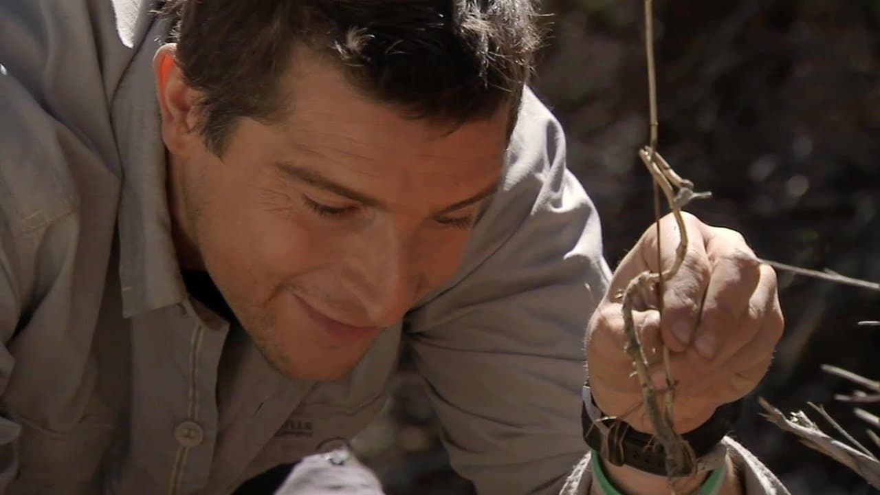 Still from Baja Desert