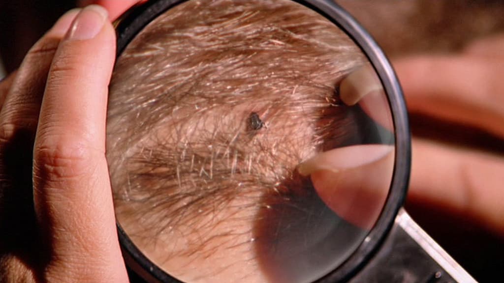 Still from Pain