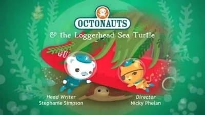 Still from The Loggerhead Sea Turtle