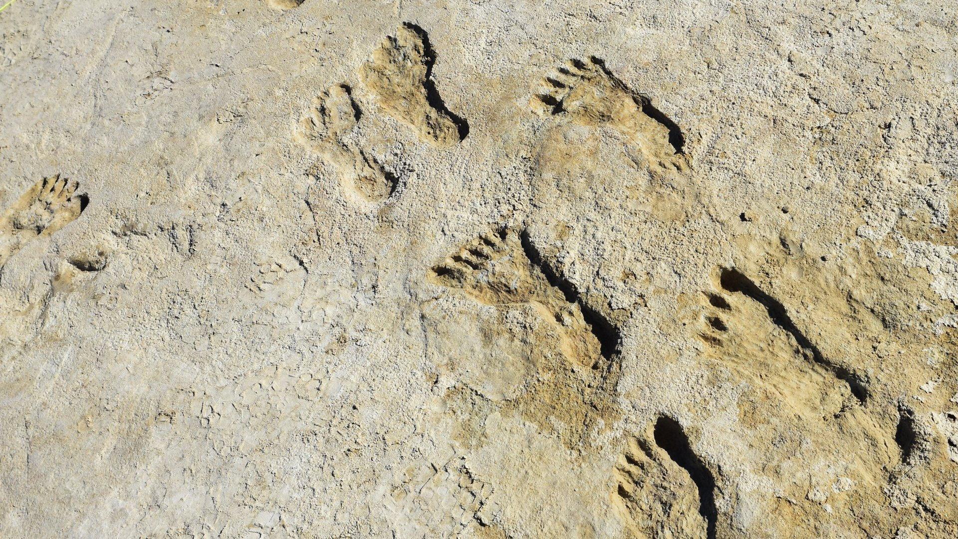 Still from Ice Age Footprints
