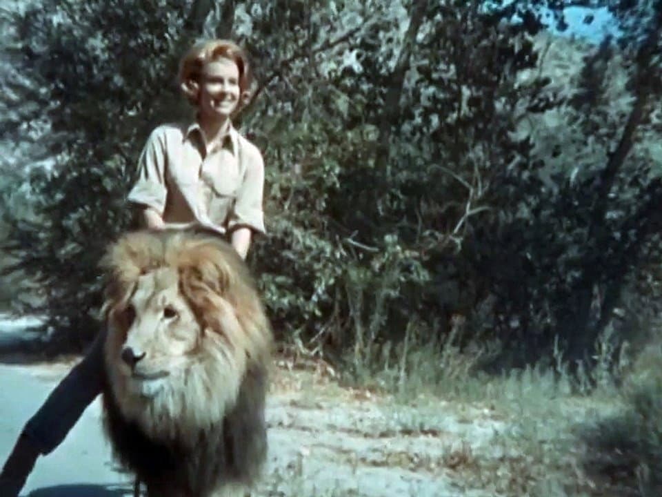 Still from Crime Wave at Wameru