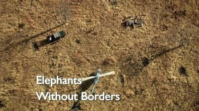 Still from Elephants without Borders