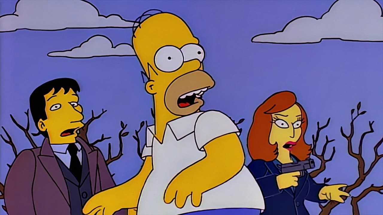 Still from The Springfield Files